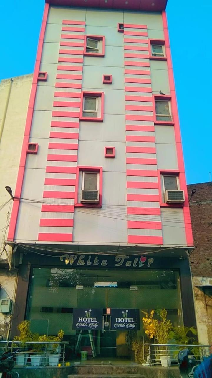 Hotel White Tulip Amritsar Extérieur photo